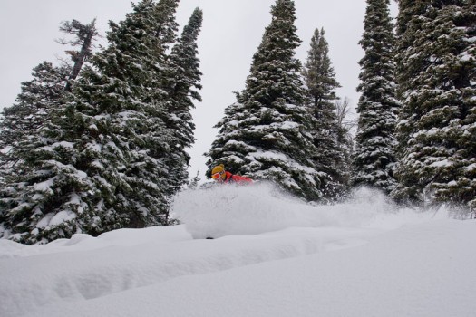Photo of the Day – Finding the stash in Jackson Hole