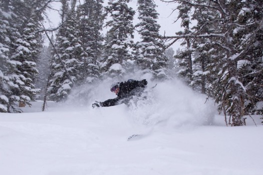 Photo of the Day – The powder is back in Jackson Hole