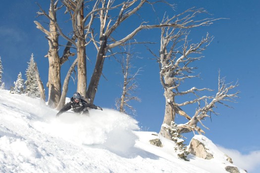 Photo of the Day – The Stash in the JH Backcountry