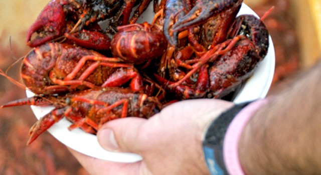 Photo of the Day – 8th Annual Jackson Hole Crawfish Boil