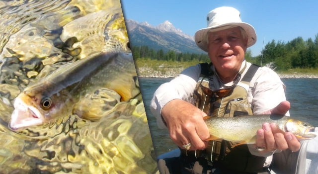 Jackson Hole Fishing Report From Fish The Fly