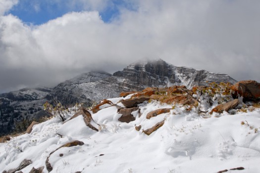 Photo of the Day – First Snow on Cody Peak